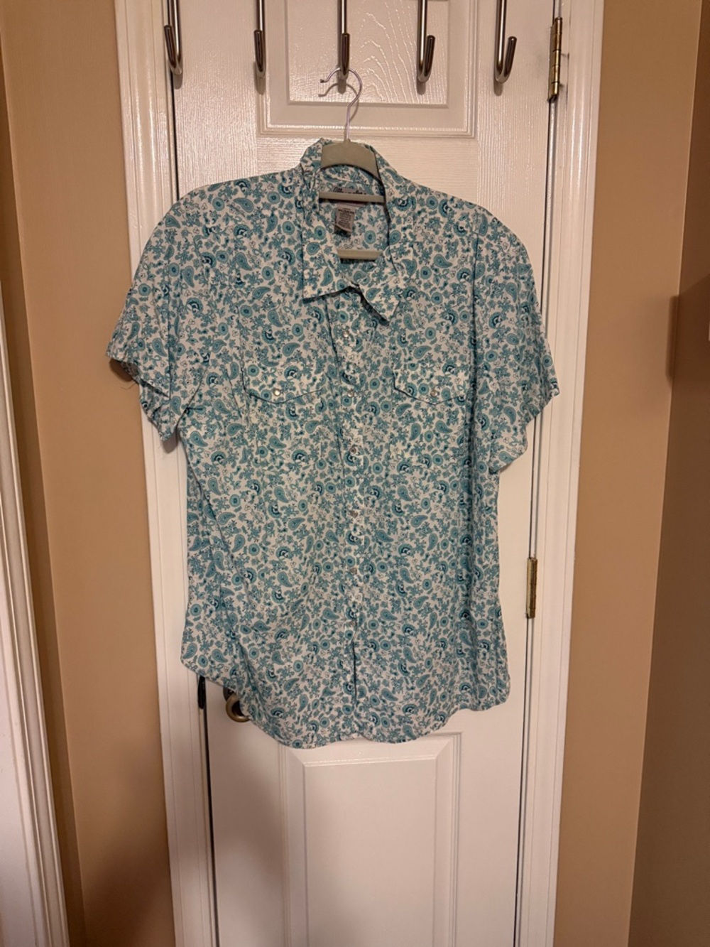 Turquoise Paisley Button-Up Shirt